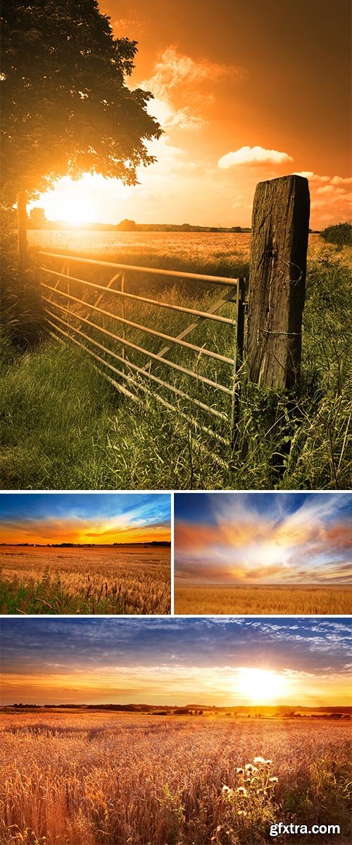 Stock Photos Beautiful sunset