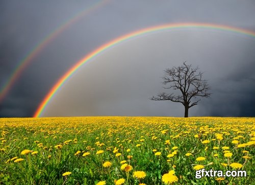 Collection of beautiful rainbow on a different landscape forest glade grass river lake 25 HQ Jpeg