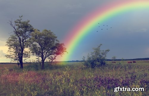 Collection of beautiful rainbow on a different landscape forest glade grass river lake 25 HQ Jpeg