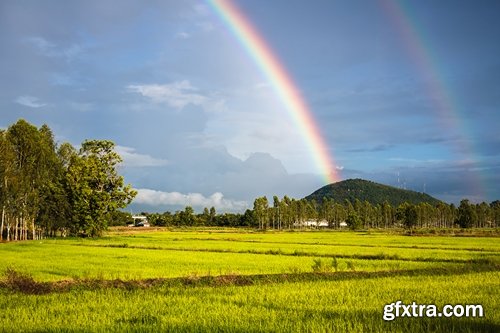 Collection of beautiful rainbow on a different landscape forest glade grass river lake 25 HQ Jpeg