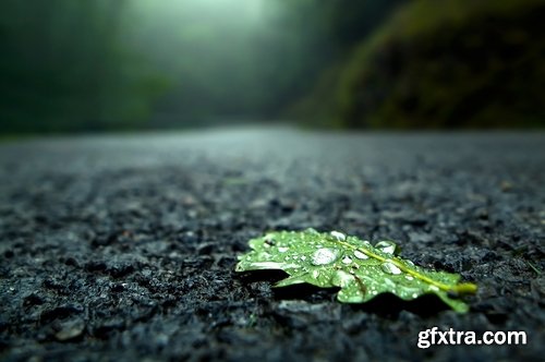 Collection rainy day rain umbrella people in the rain water on the asphalt 25 HQ Jpeg