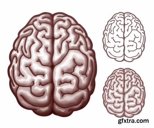 Collection of vector picture human brain neuron impulse 25 Eps