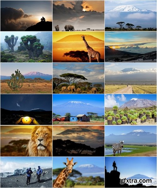 Collection of Kilimanjaro Africa landscape elephant giraffe leopard lion mountain volcano 25 HQ Jpeg