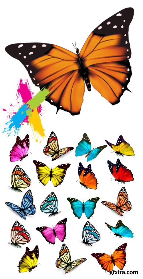 Butterflies Isolated Vector