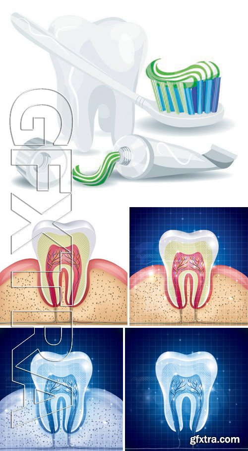 Stock Vectors - Teeth Design