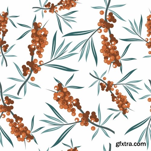 Collection of vector picture sea buckthorn berry yellow 25 Eps