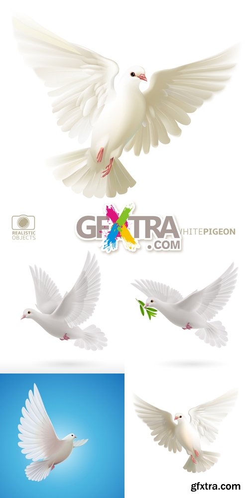 Flying Doves, Pigeons Vector