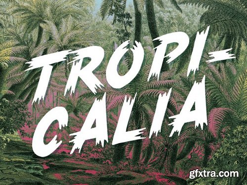 Tropicalia Brush Typerface Font