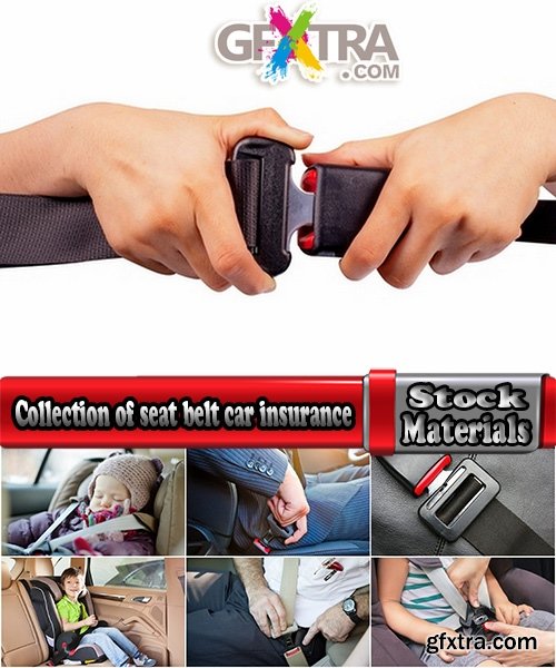 Collection of seat belt car insurance 25 HQ Jpeg