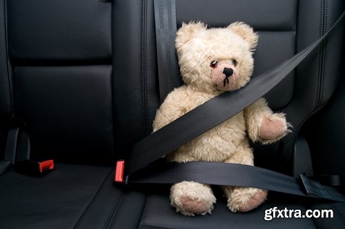 Collection of seat belt car insurance 25 HQ Jpeg