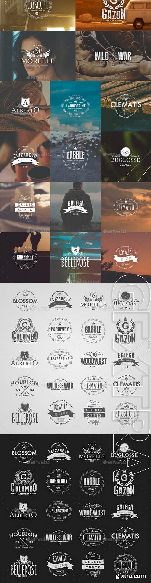 Vintage Logos and Badges Set 4 - GraphicRiver 10459419