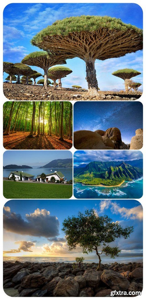 Most Wanted Nature Widescreen Wallpapers #193