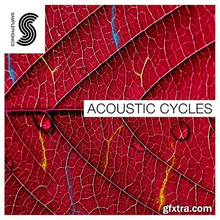 Samplephonics Acoustic Cycles MULTiFORMAT-AUDIOSTRiKE