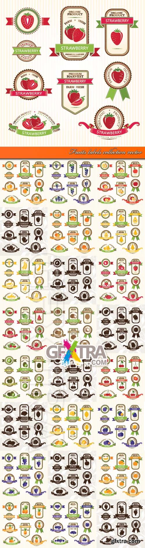 Fruits labels collection vector