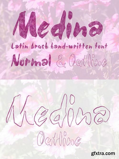 Medina Brush Font - CM 264030