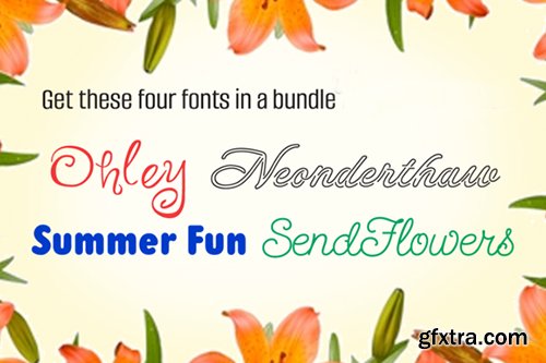 CM Summer Bundle Package 266442 8 Fonts