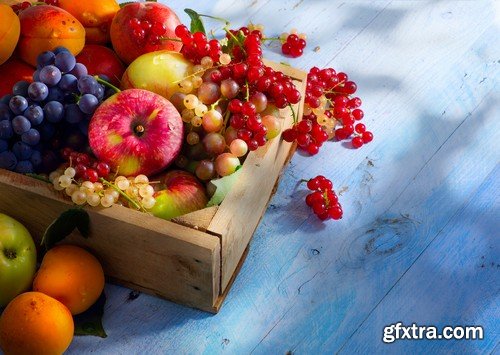 Stock Photos - Different Exotic Fruits 2, 25xJPG