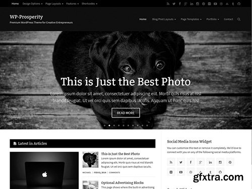 WP-Prosperity v2.4.1 - Premium Responsive WordPress Theme