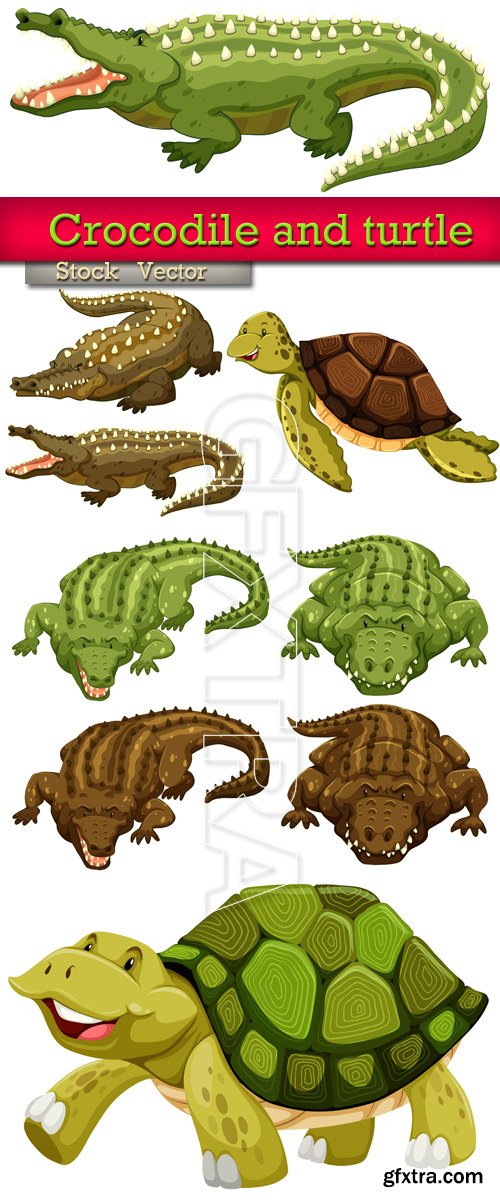 Crocodiles and turtles in Vector