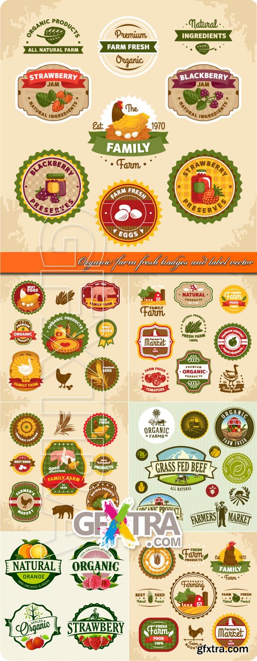 Organic farm fresh badges and label vector