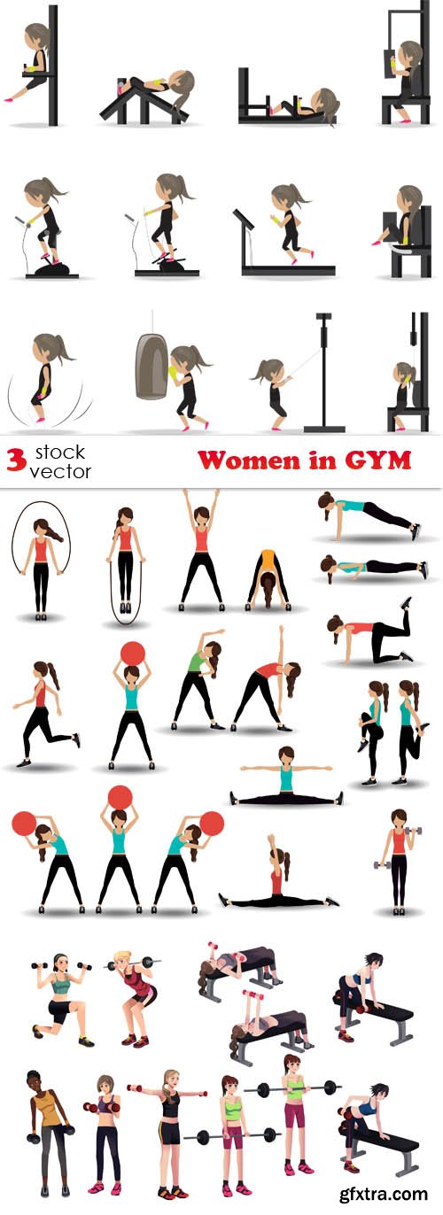 Vectors - Women in GYM