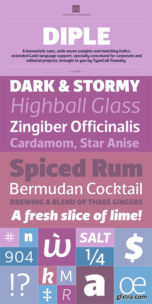 TCF Diple Font Family - 14 Fonts $288