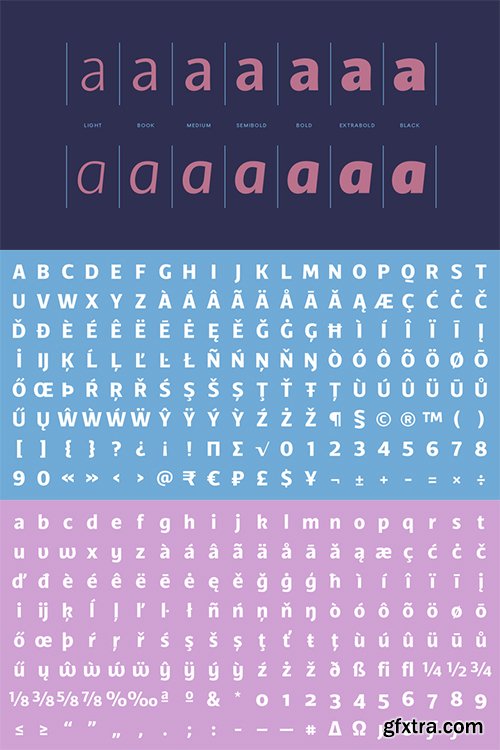 TCF Diple Font Family - 14 Fonts $288