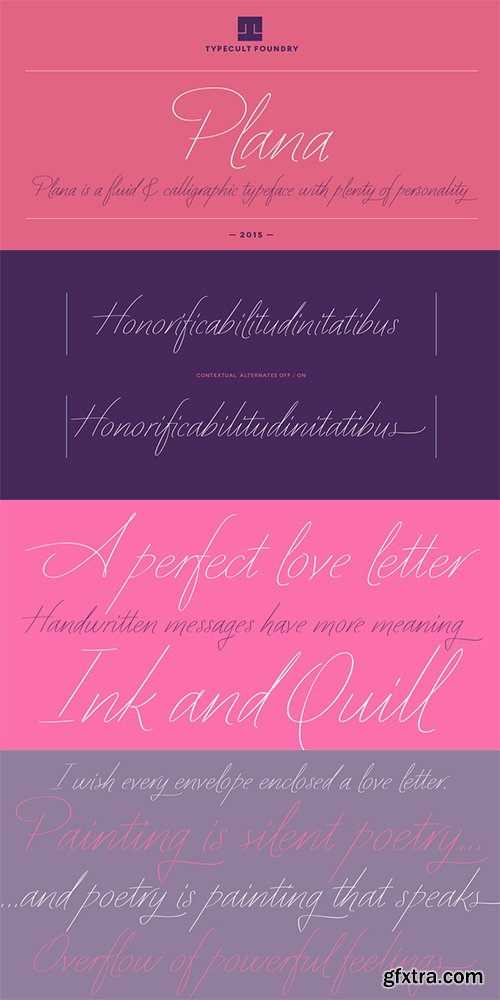 TFC Plana Font Family - 1 Fonts $22