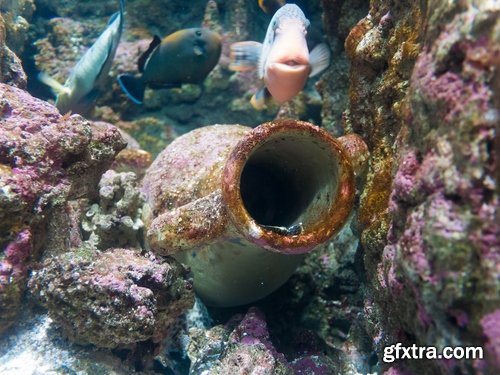 Collection of Greek amphora vessels with volumes underwater artifact finding 25 HQ Jpeg