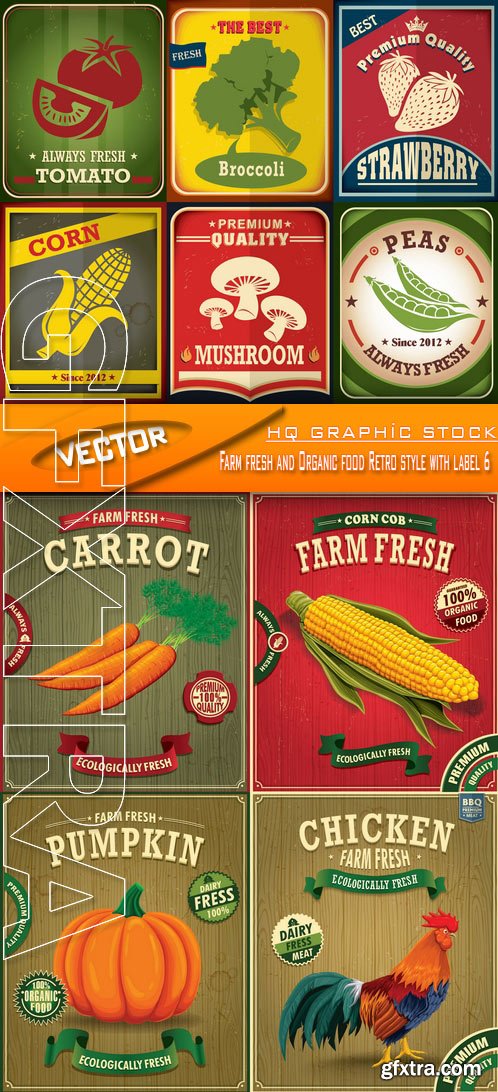 Stock Vector - Farm fresh and Organic food Retro style with label 6