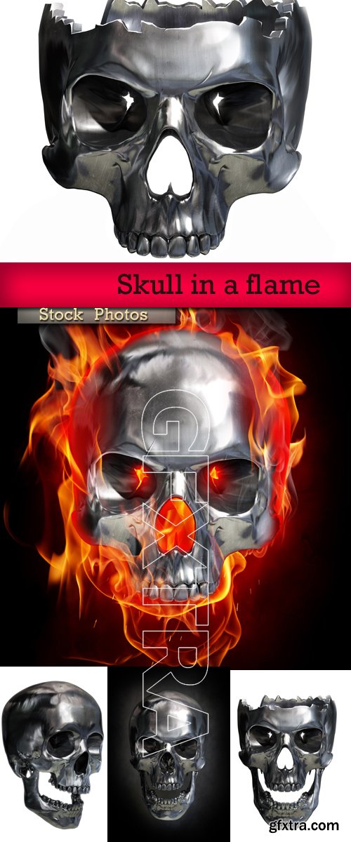 Skull in a flame