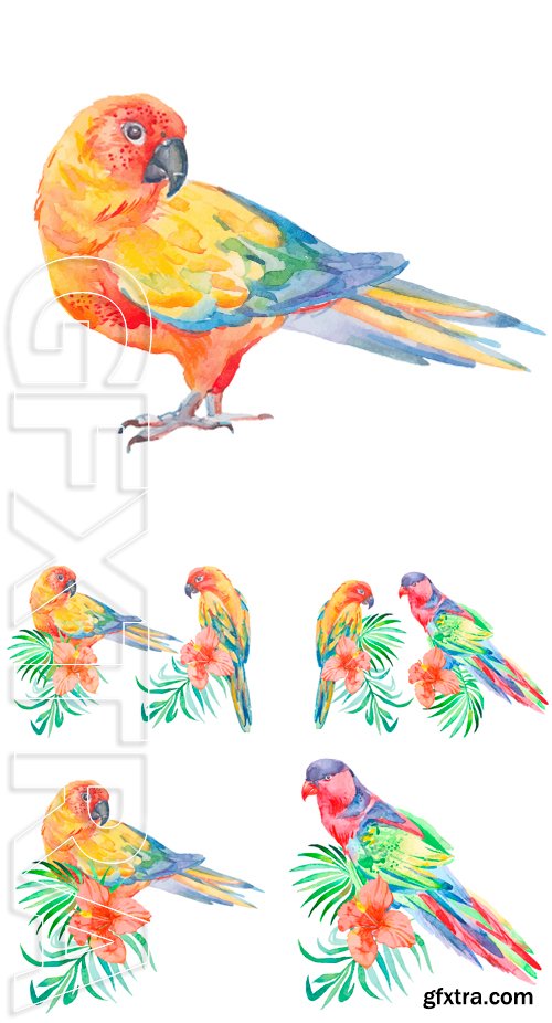 Stock Vectors - Vector.Tropical parrot. . Vector for your design.