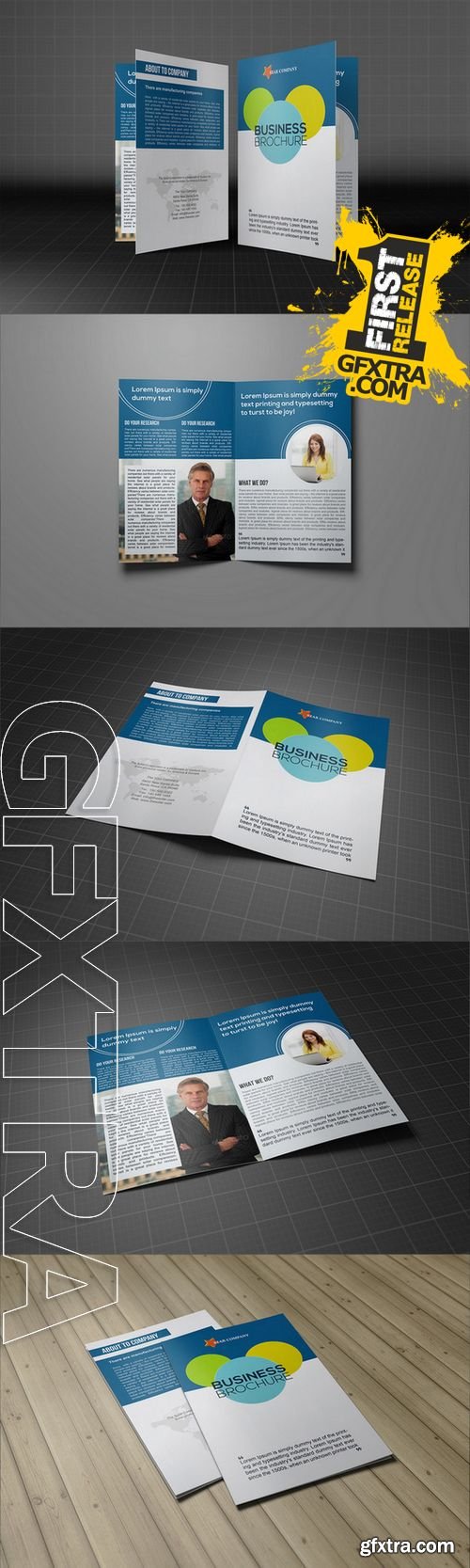 Bifold Business Brochure - CM 264503