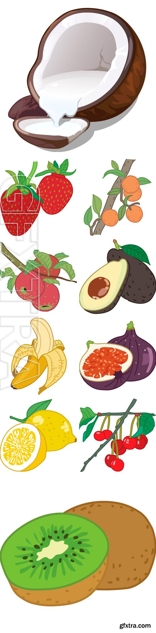 Stock Vectors - Fruit vector icon