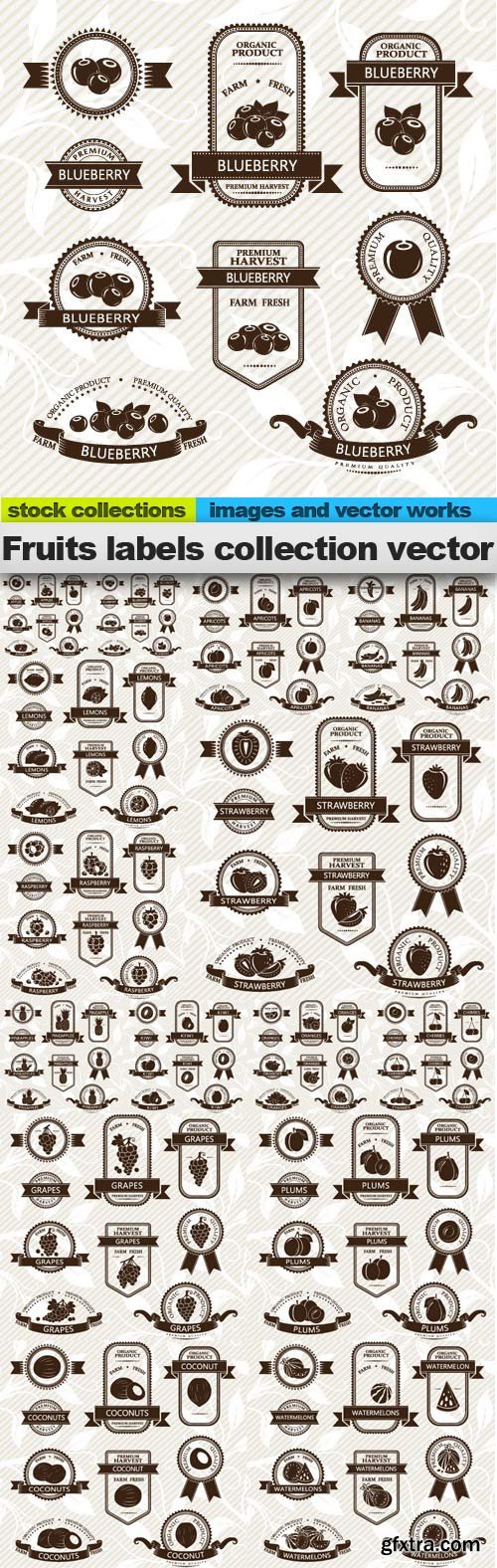 Fruits labels collection vector, &nbsp;15 x EPS