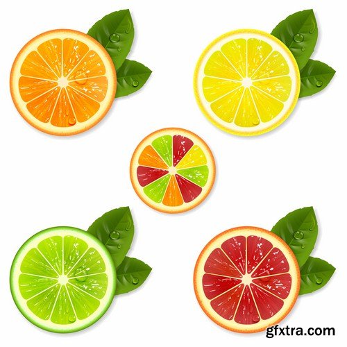 Food & Drink Design Elements #2 - 25 Vector