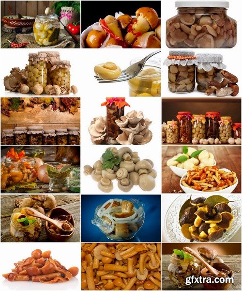 Collection of delicious marinated mushrooms Canned 25 HQ Jpeg