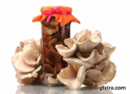 Collection of delicious marinated mushrooms Canned 25 HQ Jpeg