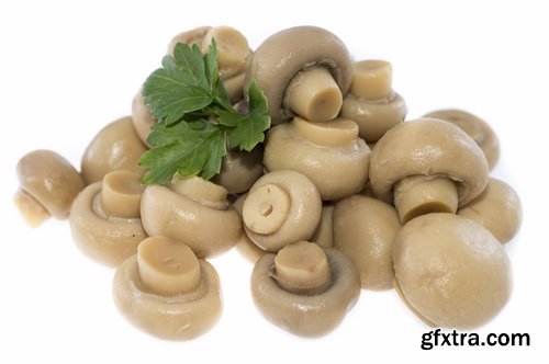 Collection of delicious marinated mushrooms Canned 25 HQ Jpeg