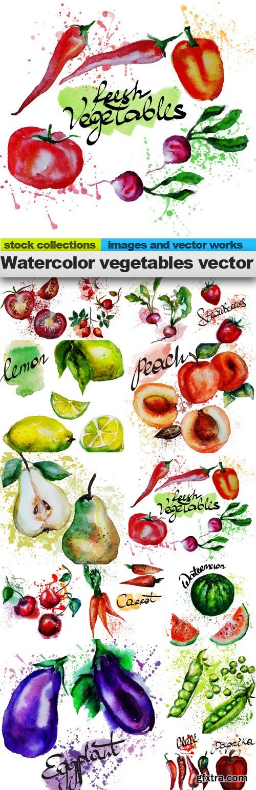 Watercolor vegetables vector, 15 x EPS