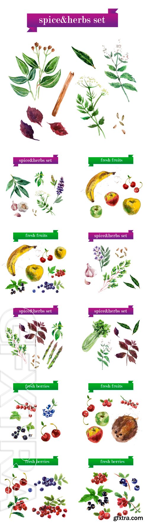 Stock Vectors - Vector set on white background. Fresh food illustration