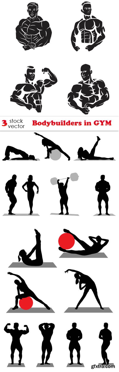 Vectors - Bodybuilders in GYM