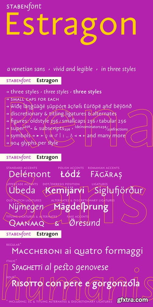 Estragon Pro Font Family $120