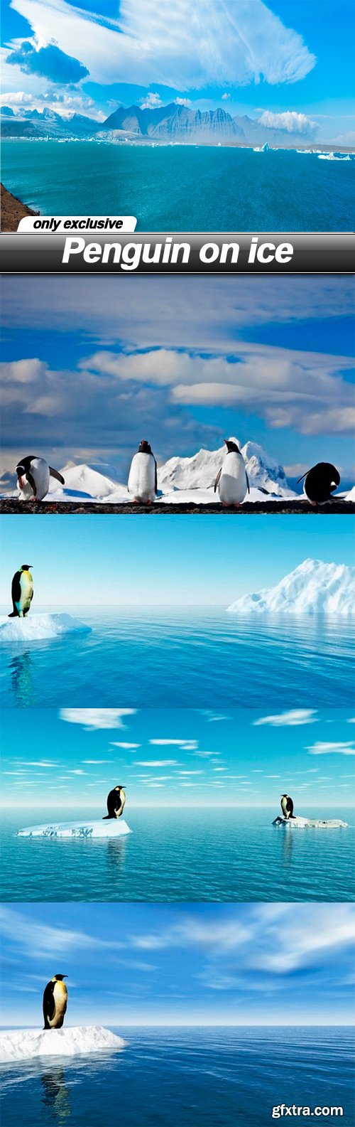 Penguin on ice - 5 UHQ JPEG