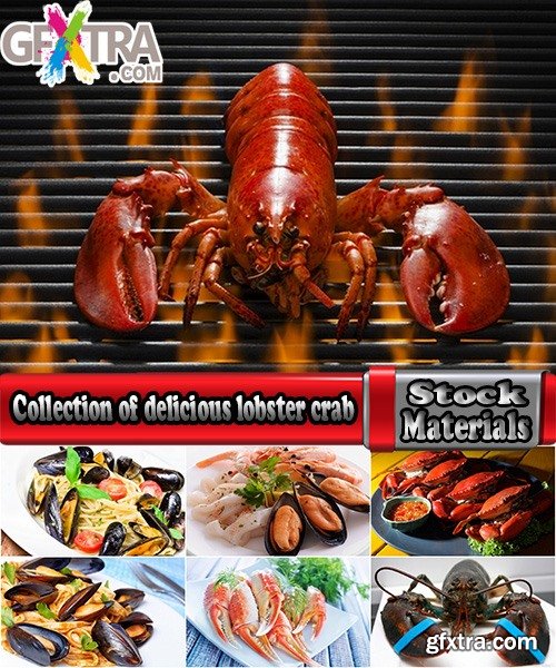 Collection of delicious lobster crab Omar mussel seafood cancer 25 HQ Jpeg