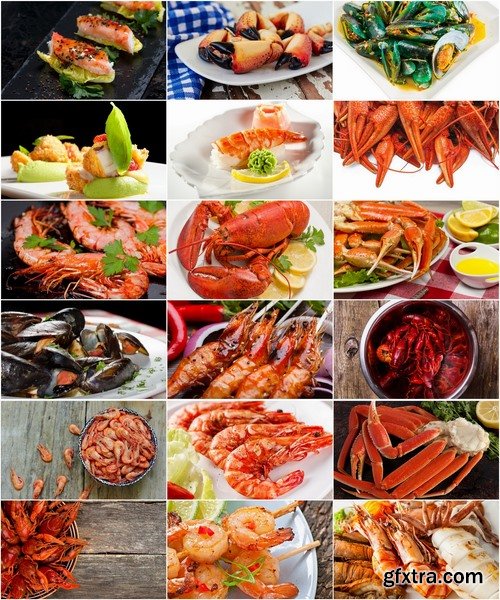 Collection of delicious lobster crab Omar mussel seafood cancer 25 HQ Jpeg