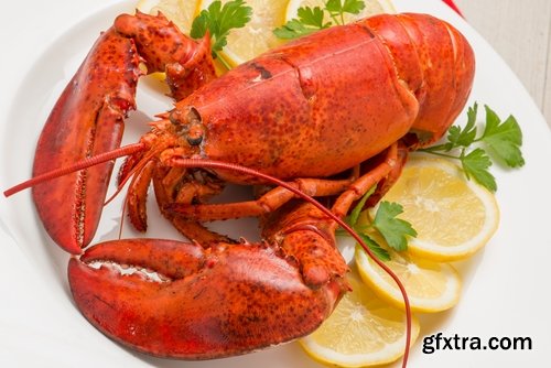 Collection of delicious lobster crab Omar mussel seafood cancer 25 HQ Jpeg