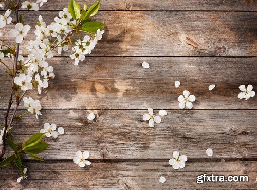 Flowers & wood background 14x JPEG