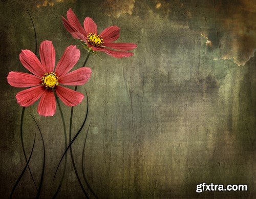 Flowers & wood background 14x JPEG