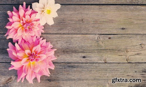 Flowers & wood background 14x JPEG